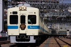DPP_3204