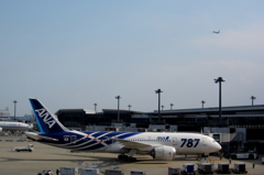 DPP_5383