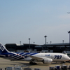 DPP_5383