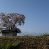 八ヶ岳と桜小屋