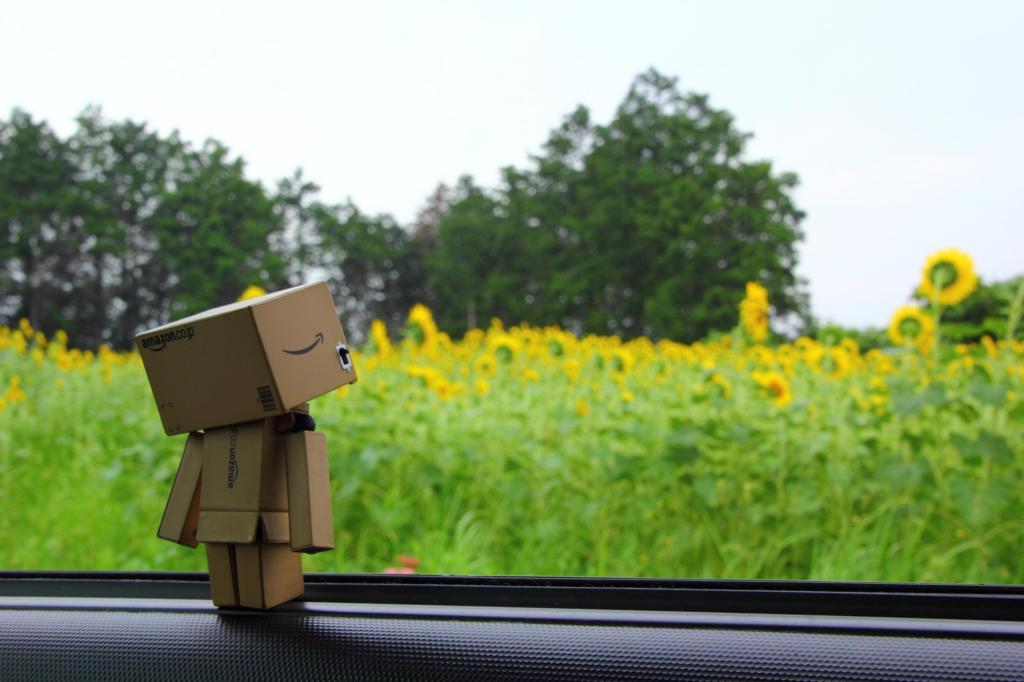 雨止まないかなぁ…