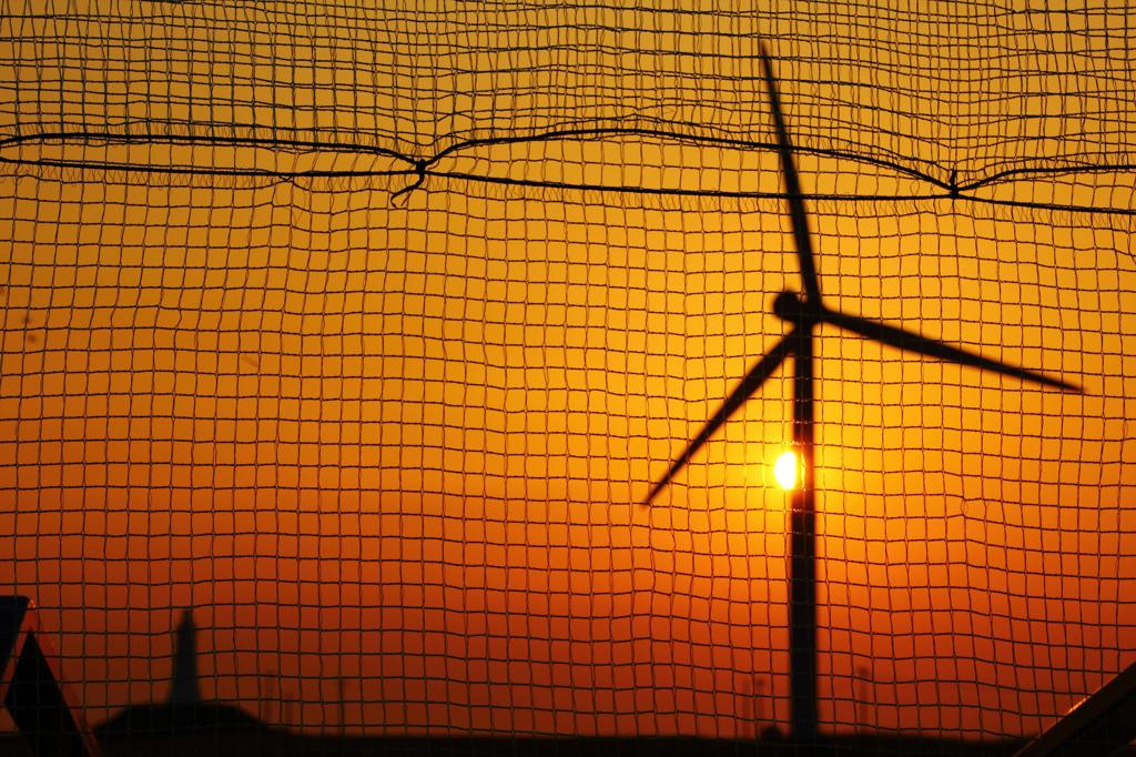 網越しの夕景