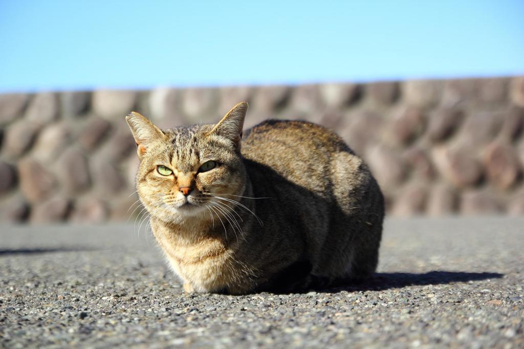 こんにちは♪