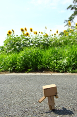 雨止んだよぉ