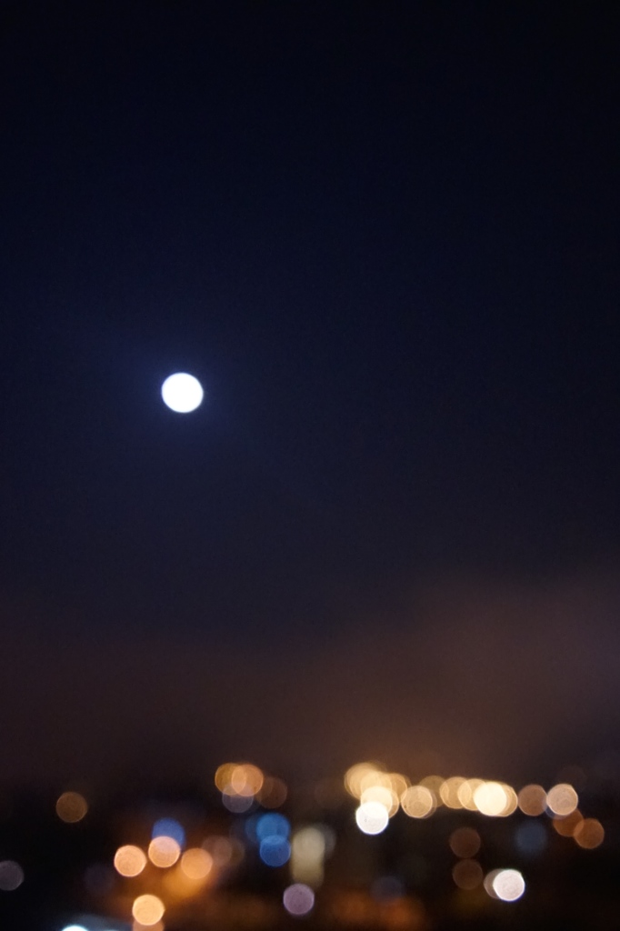 DSC00187
