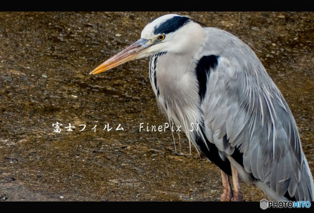 良いカメラとは・・