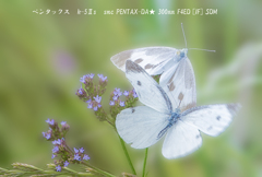 仲良し