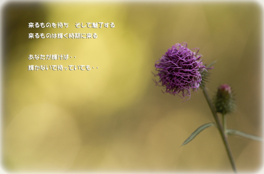 花から学ぶこと～