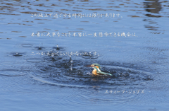 ことわざ・四字熟語・名言