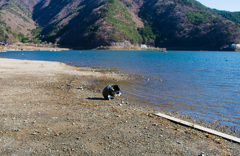 写真とは・・