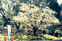 どんな時も・・