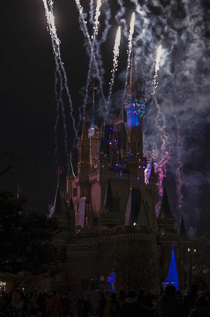 ディズニーランド