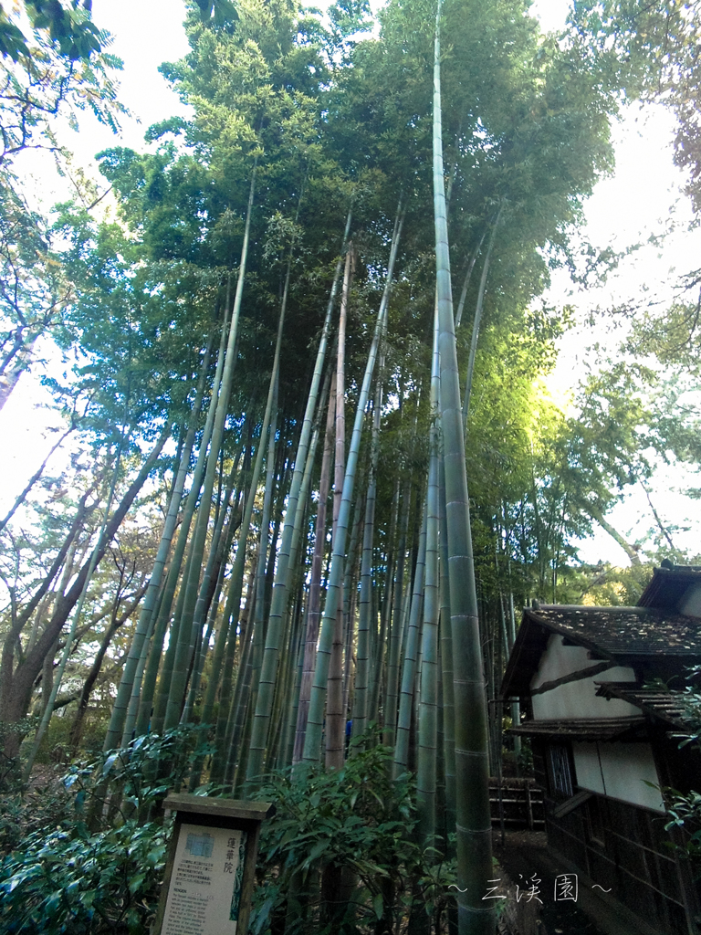三渓園