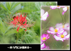 笑うが勝ち！？