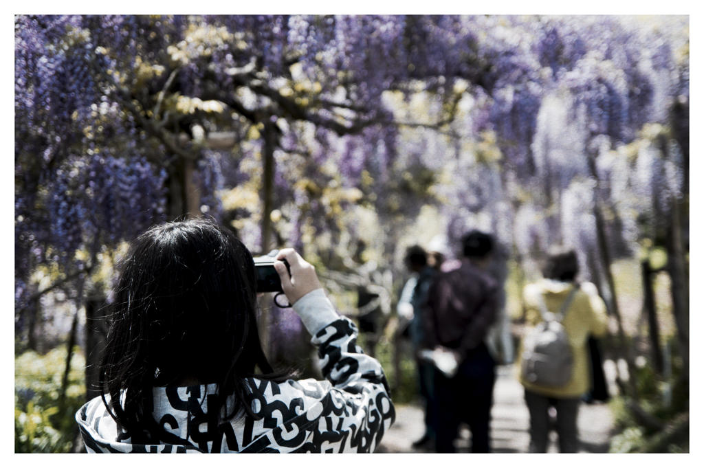 ちょっとフィルム風に
