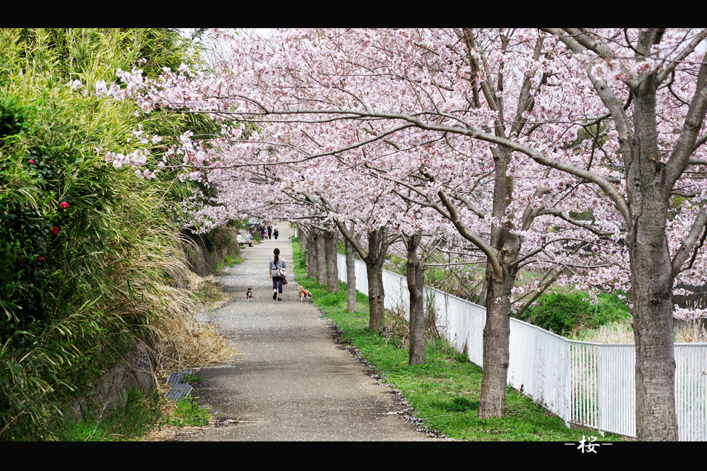 photohitoとの連携お試し