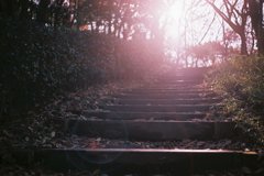 フィルム味