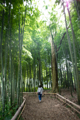 広角の威力