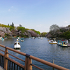 井之頭公園