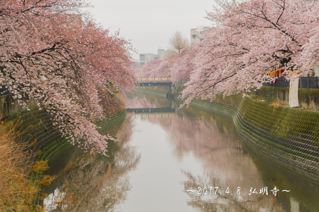 弘明寺