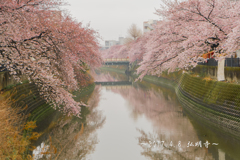 弘明寺