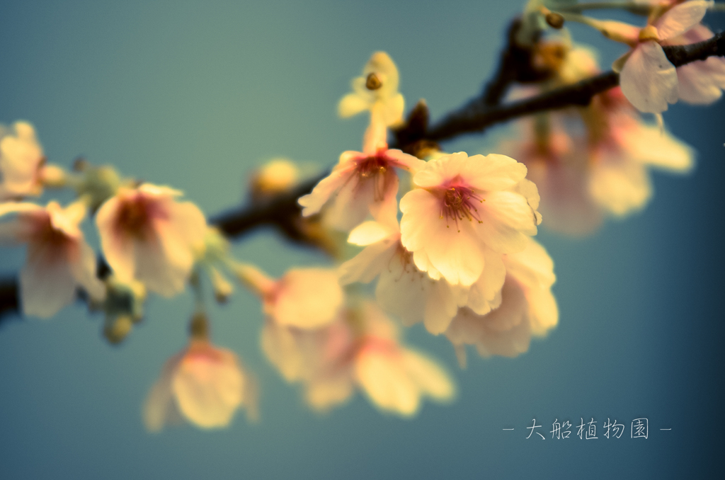 寿命・・