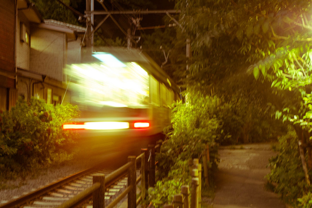 夜の動体撮影