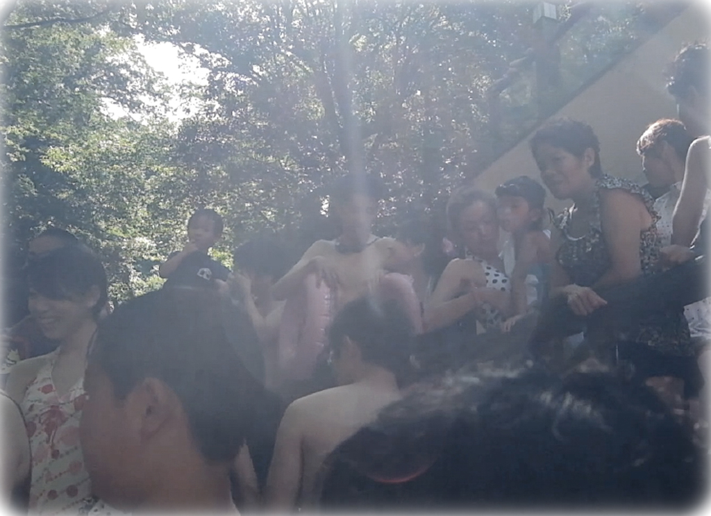 逆光で良い写り♪