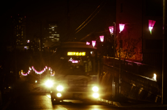 夜の動きもの・・