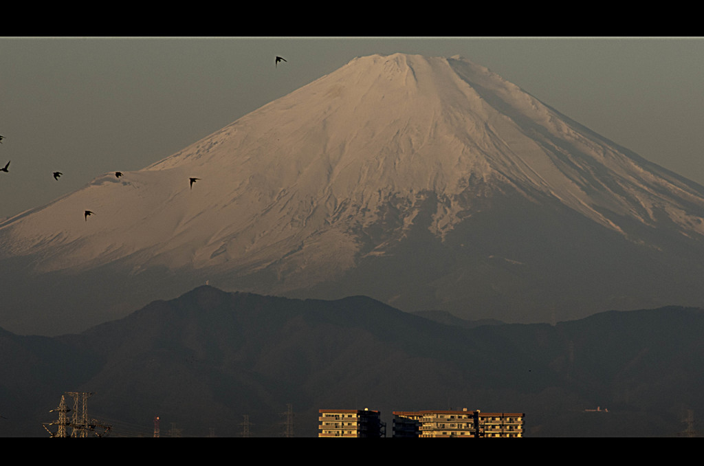 横浜から富士