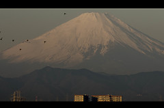 横浜から富士