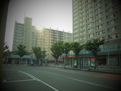 初撮り♪