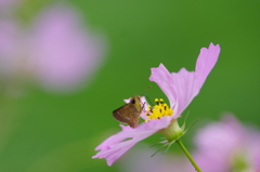 朝からホームグラウンドへ撮影へ