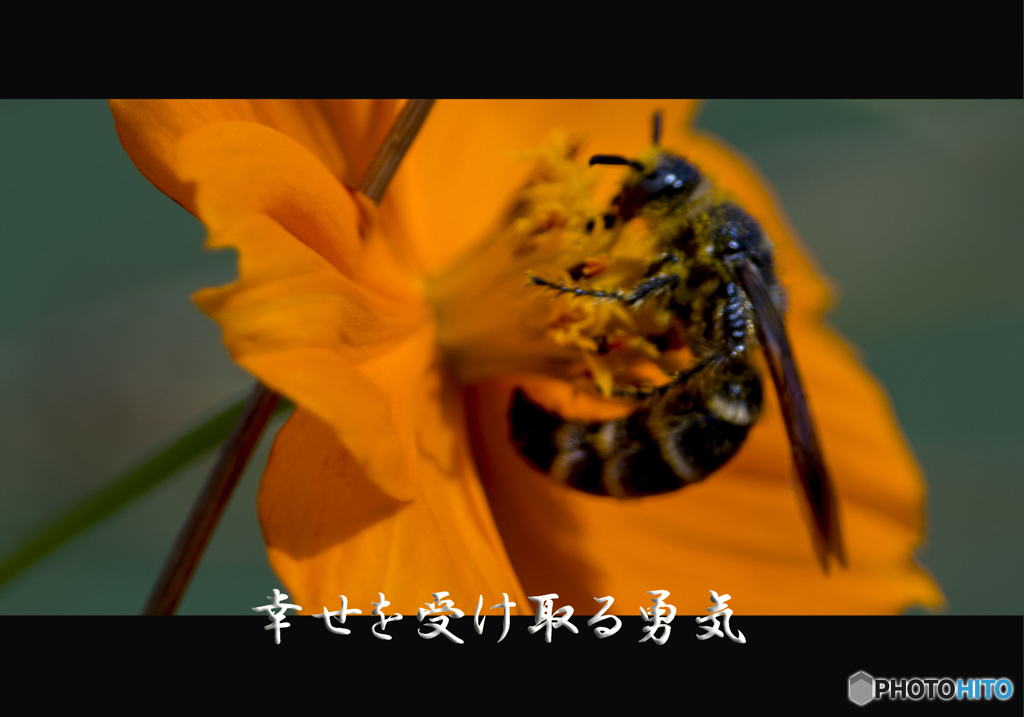戒め
