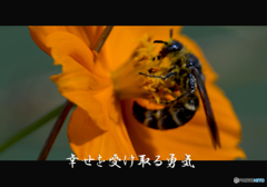戒め