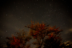 ヤビツ峠で星空