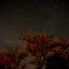 ヤビツ峠で星空