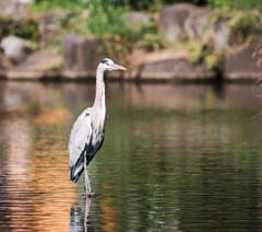 大池公園にて