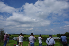 動き