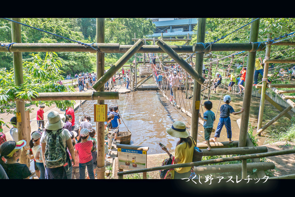 つくし野アスレチック