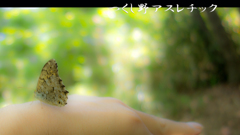 子供の笑顔は宝
