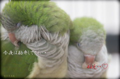 すれ違い・・