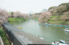 初の千鳥ヶ淵へ