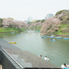 初の千鳥ヶ淵へ