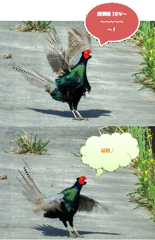 答えは・・