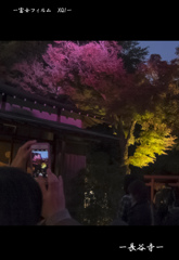 長谷寺
