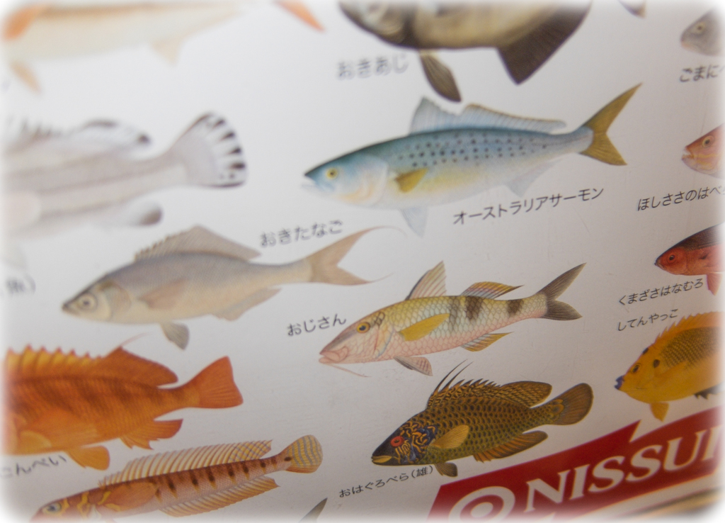 「おじさん」・・・(゜´Д｀゜)