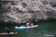 お茶でも・・どうぞ