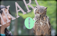 富士花鳥園