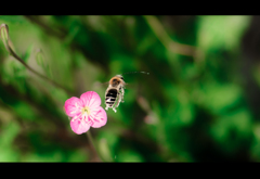 背景処理